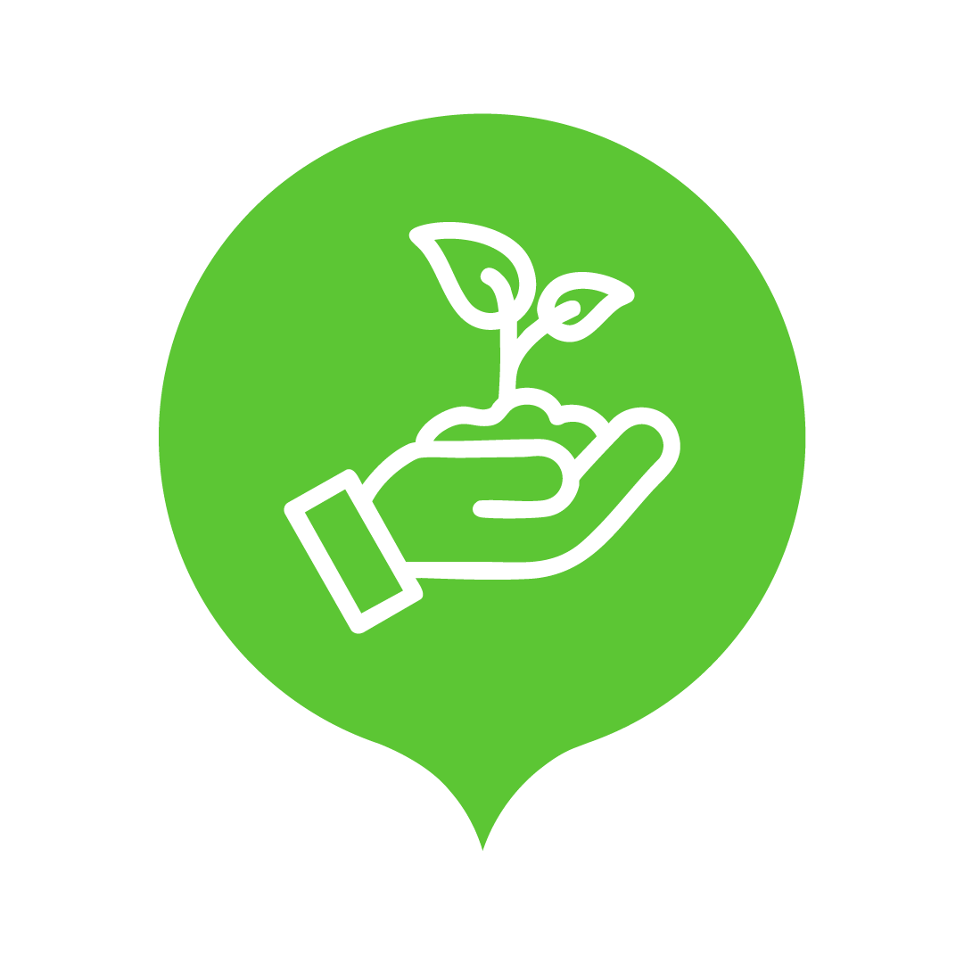 Icon 3